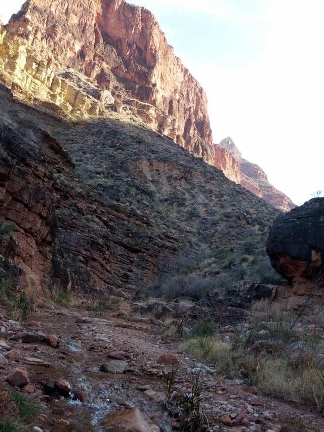 IMG_20130314_160504.jpg
